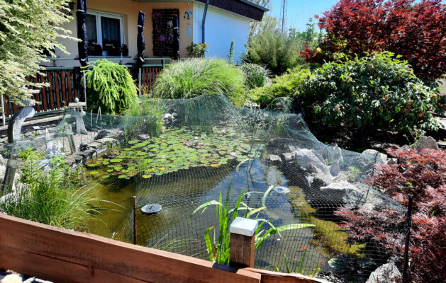 Gartengaststätte Nach Feierabend 3