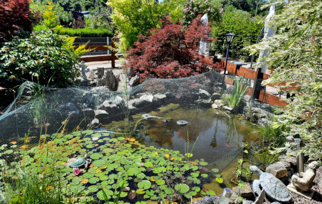 Gartengaststätte Nach Feierabend 7