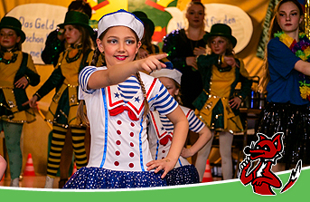 Saison 2018-2019 - Rosenmontagssitzung 2019